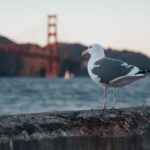 Together and Without