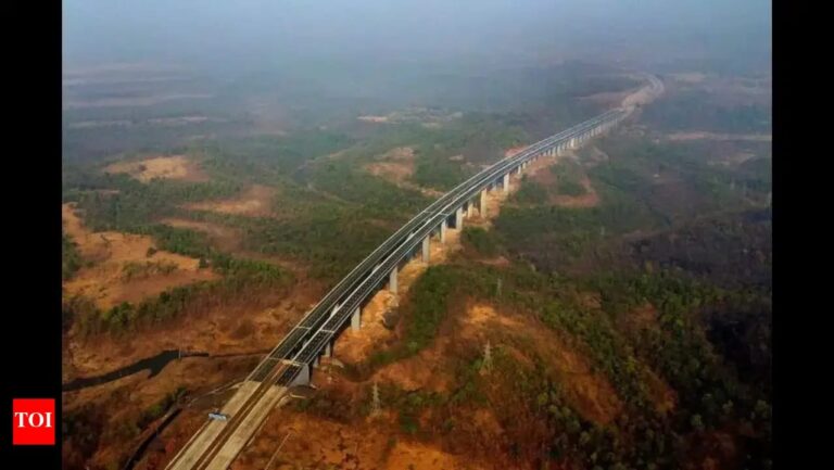 WhatsApp Image 2025-11-11 at 19.39